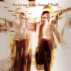 Pre Living in the Material World Artwork